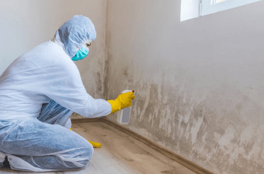 Common Places to Find Mold in Your House